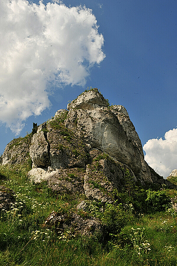 Skaki w okolicach Olsztyna k. Czstochowy