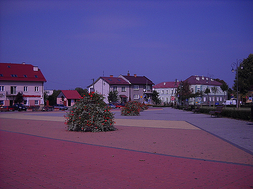 Panorama rynku