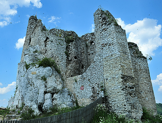 Mirów - ruiny zamku od wschodu