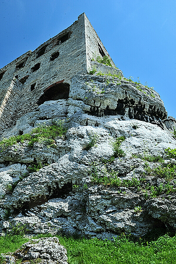 Zamek w Ogrodziecu. Podzamcze