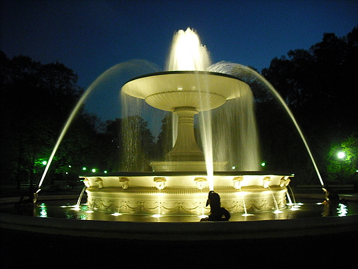 Warszawa. Fontanna w Ogrodzie Saskim.