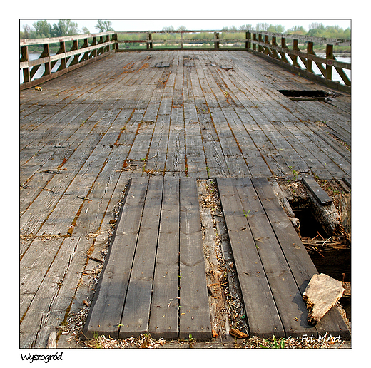 Wyszogrd - ruina drewnianego mostu na Wile, najduszego w Europie