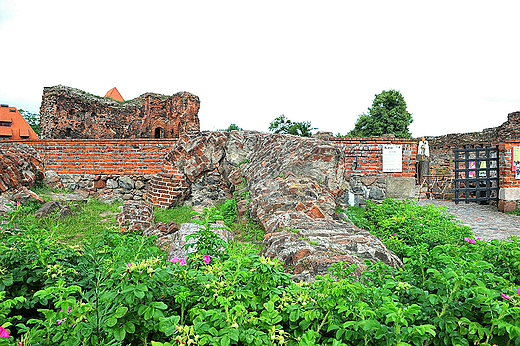 Ruiny zamku krzyżackiego. Toruń