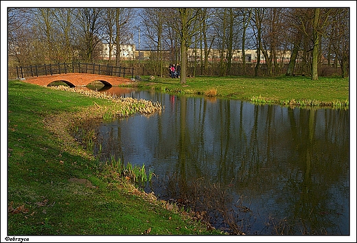 Dobrzyca - zesp paacowo-parkowy Gorzeskich