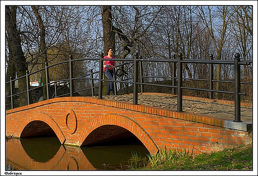 Dobrzyca - zesp paacowo-parkowy Gorzeskich