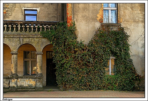 Dobrzyca - fragment starej kamienicy