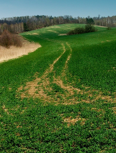 Dolina Poni okolice Barlinka