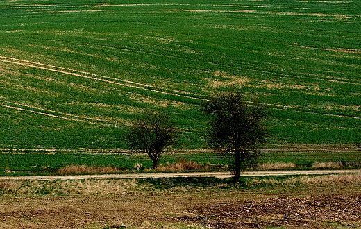 Dolina Poni okolice Barlinka