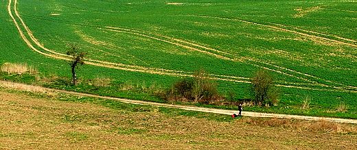 Dolina Poni okolice Barlinka