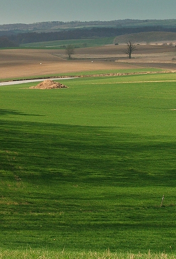 Dolina Poni okolice Barlinka