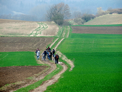 Dolina Poni okolice Barlinka