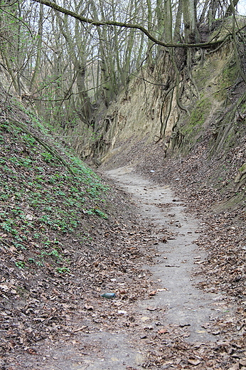 sandomierskie klimaty - Wwz Krlowej Jadwigi