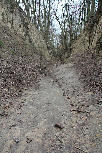 sandomierskie klimaty - Wwz Krlowej Jadwigi