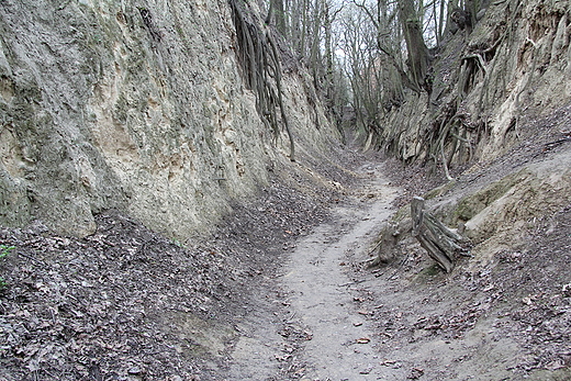 sandomierskie klimaty - Wwz Krlowej Jadwigi