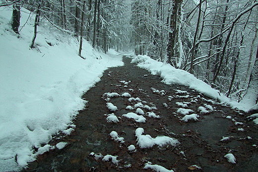 Zima w Górach Opawskich