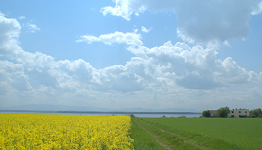 Wiosenne klimaty...