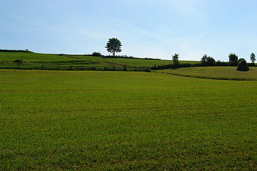 Szczyt Pustka. Gorce