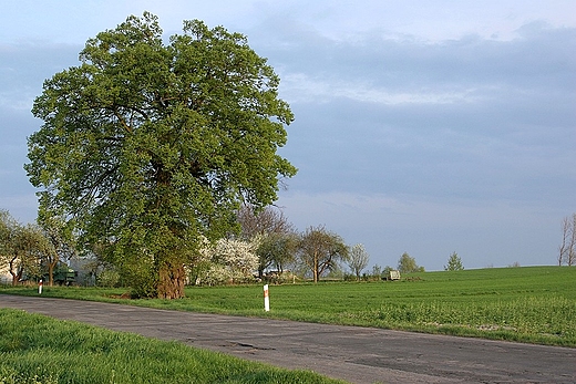 Widok  Wschodnich Kresw