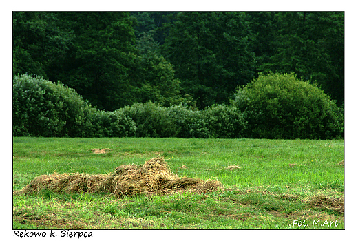 Rekowo - sianokosy