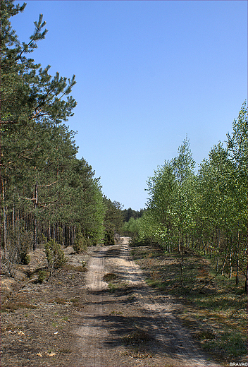 Uroki Borw Tucholskich