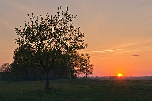 Dobranoc Podlasie.