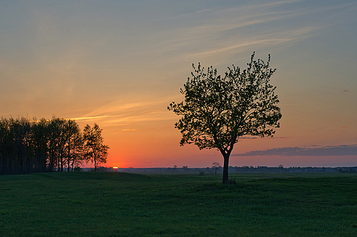 Dobranoc Podlasie.