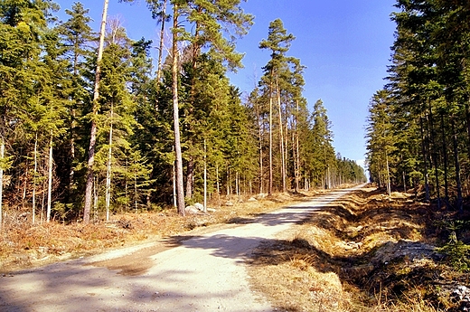 W Sieradowickim Parku Krajobrazowym