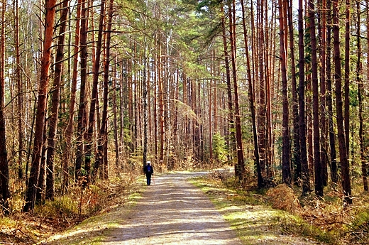 W Sieradowickim Parku Krajobrazowym