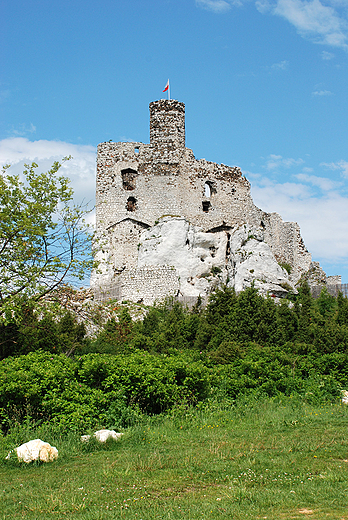 Zamek w Mirowie od poudnia