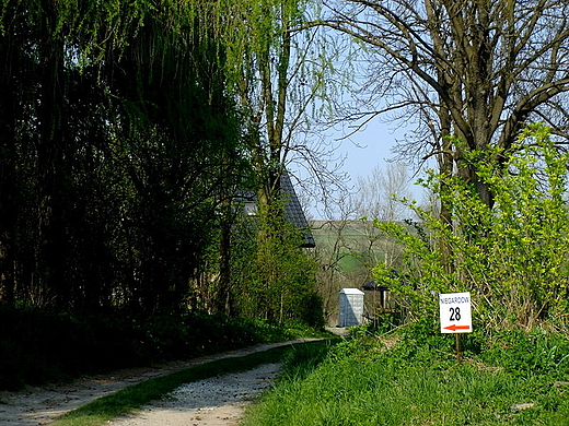 Niegardow