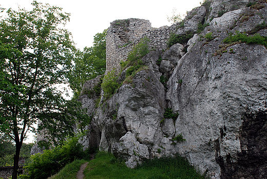 Ruiny zamku w Morsku