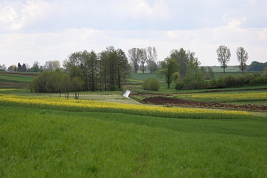 Widoczek na Potczek