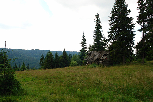 Polana Obidowiec. Gorce