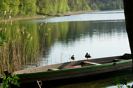 okolice Barlinka - Jezioro Okno