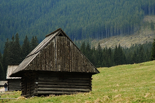 Szaasy na Polanie Chochoowskiej