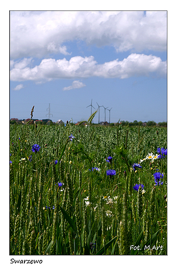 Swarzewo - pola i elektrownie wiatrowe