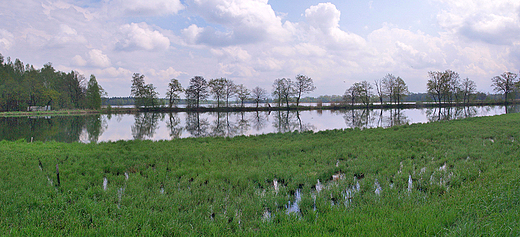 Panorama staww w okolicy Zabrzega.