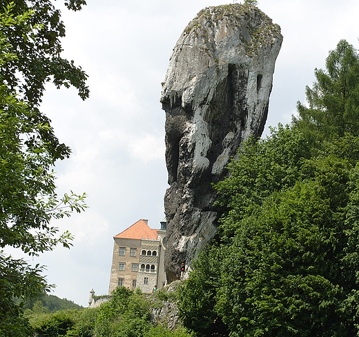 Maczuga Herkulesa w Pieskowej Skale