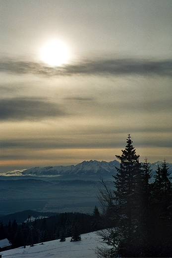 Widok na Tatry ze stokw Turbacza. Gorce