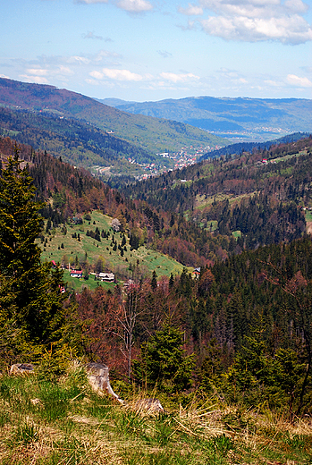 Beskid laski w okolicy Szczyrku.