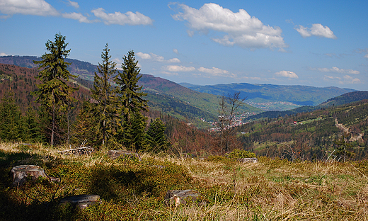 Beskid lski ogldany z Salmopola.