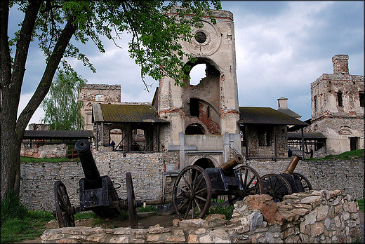 Zamek KrzyTopr. Ujazd