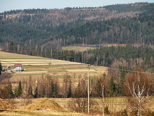 Widok