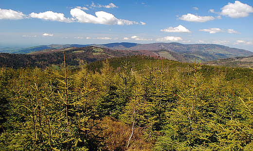 Widok na Beskid lski ze zboczy Malinowskiej Skay.