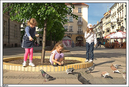 Kalisz - Rynek Gwny - dzieci karmi gobie