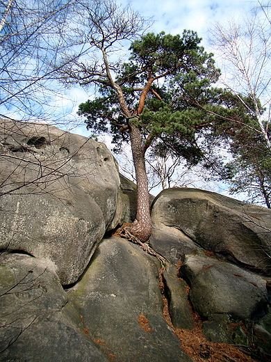 Czarnorzeki - Rezerwat Przdki