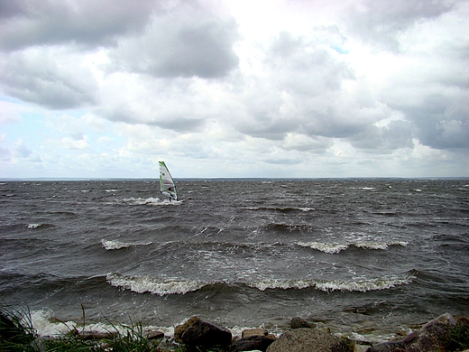 Zatoka Pucka. Czerwiec 2009