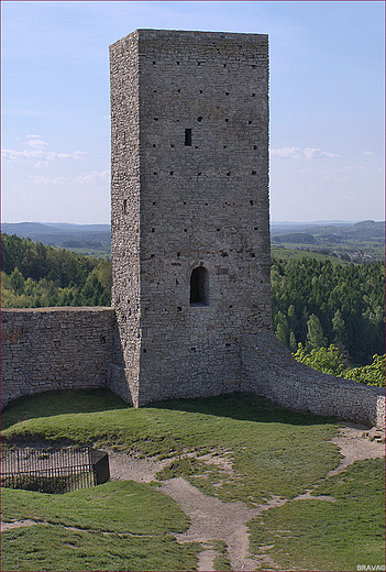 Ruiny zamku krlewskiego w Chcinach