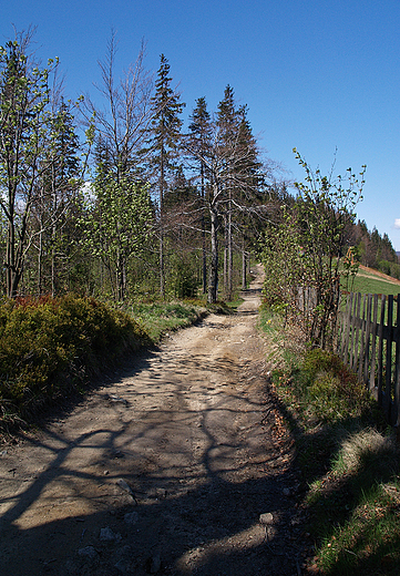 Beskid lski. Na szlaku.