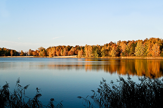 Jezioro Turawa - Zota Jesie